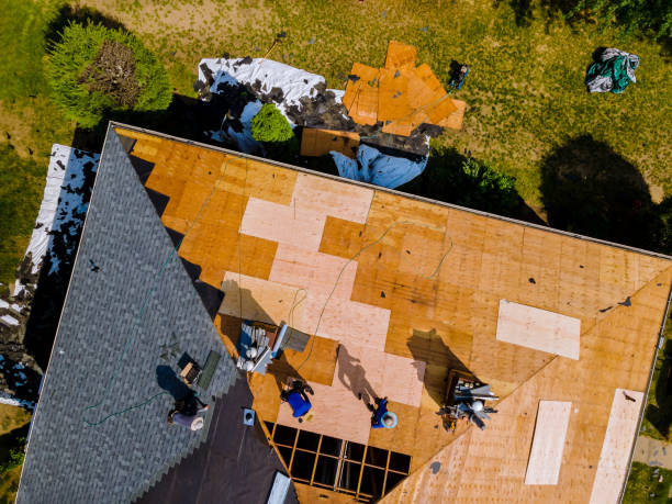 Best Metal Roofing Contractor  in Shady Shores, TX