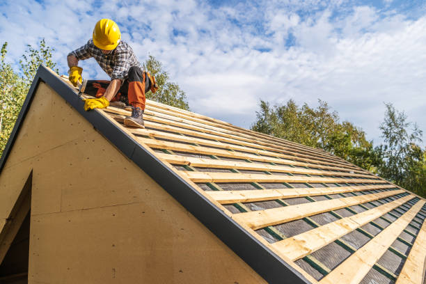 Best Gutter Installation and Roofing  in Shady Shores, TX