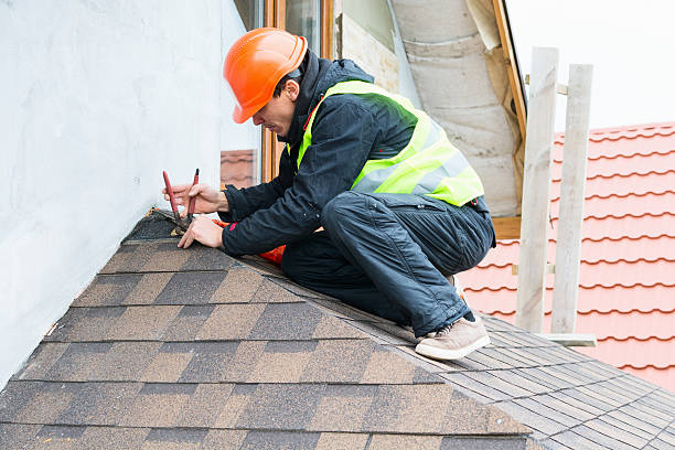 Roof Gutter Cleaning in Shady Shores, TX
